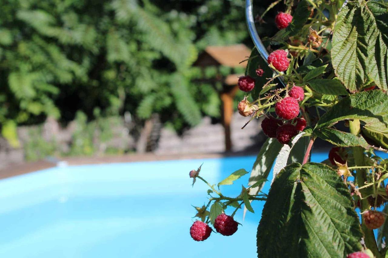 Le Chat Botte - Vankantiehuis In Languedoc-Roussillion Bed & Breakfast Routier Ngoại thất bức ảnh